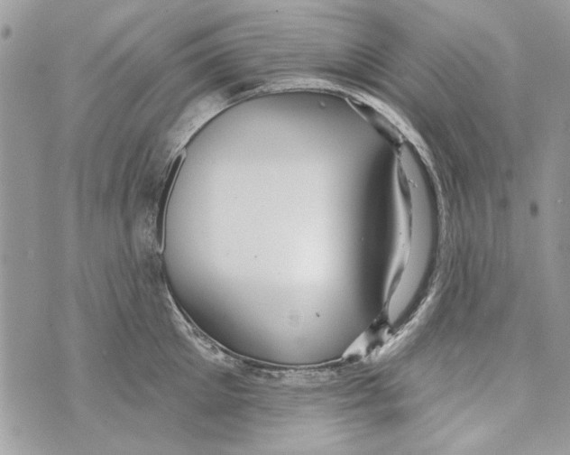 X0000070400905200607072241