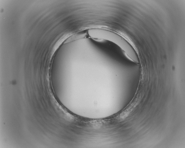 X0000070400906200607072241