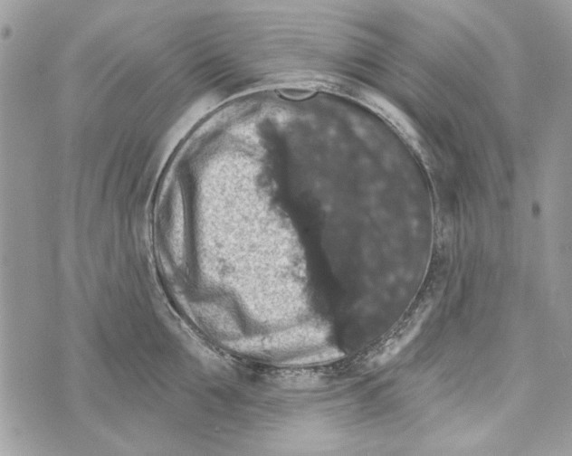 X0000070400907200607072241