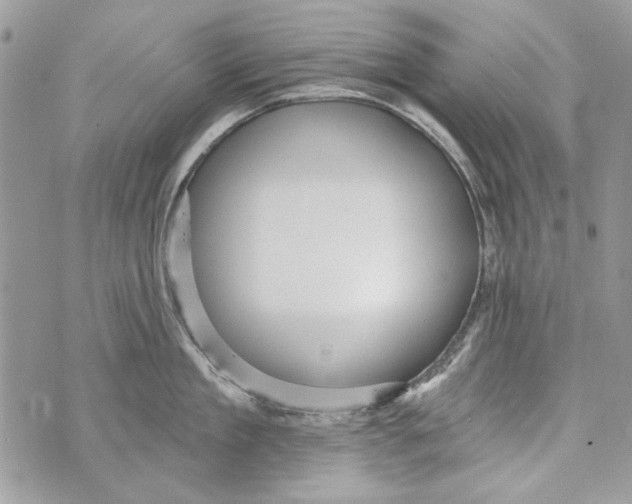 X0000070400909200607072241