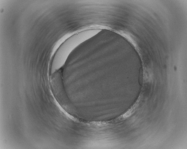 X0000070400910200607072241