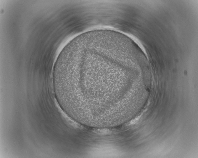 X0000070400911200607072241