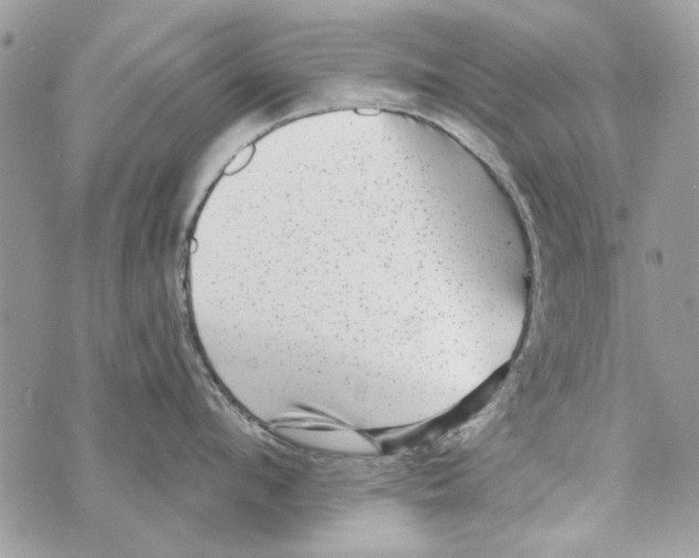 X0000070400912200607072241