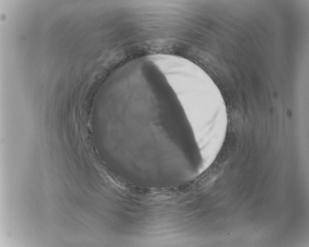 X0000070400913200607072240