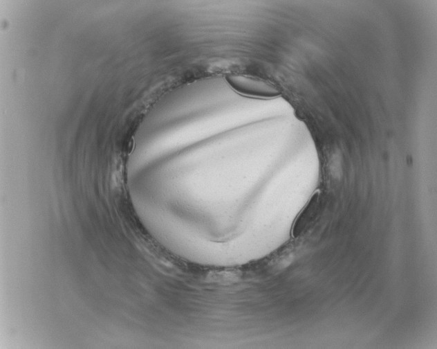 X0000070400914200607072240