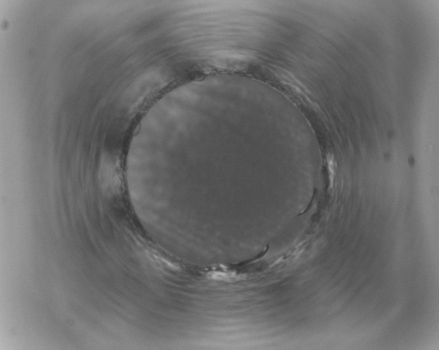 X0000070400915200607072240