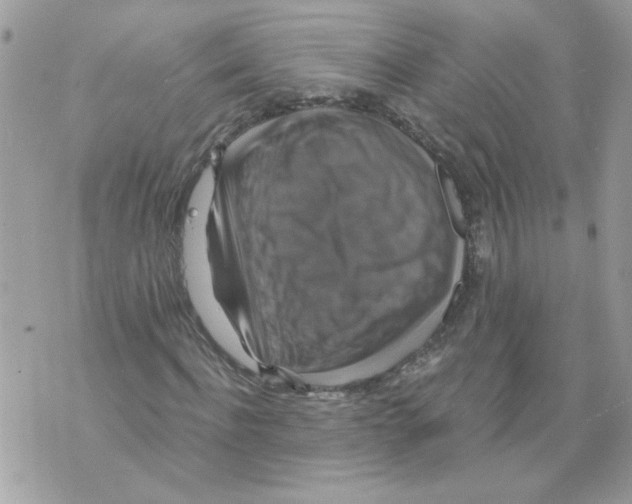 X0000070400916200607072240