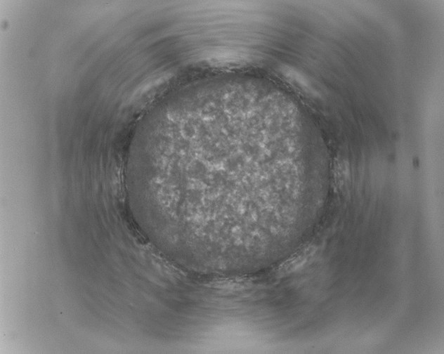 X0000070400917200607072240