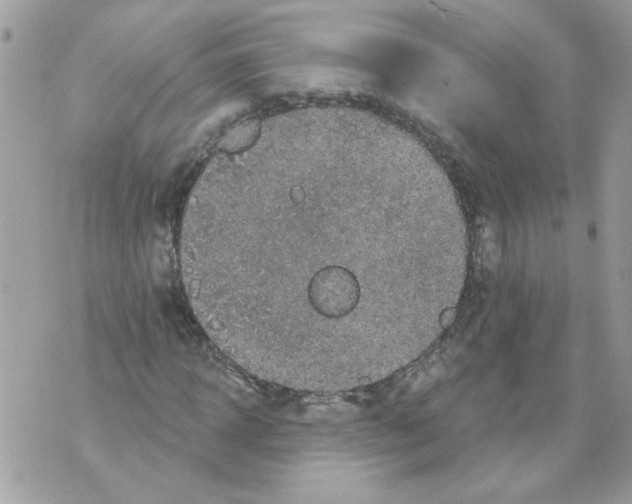 X0000070400918200607072240