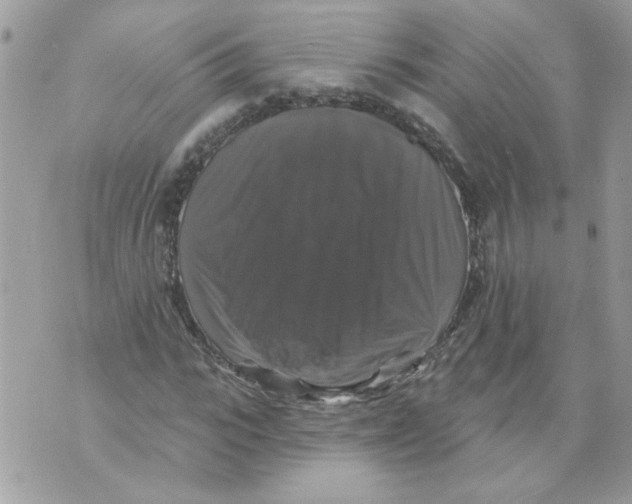 X0000070400919200607072240