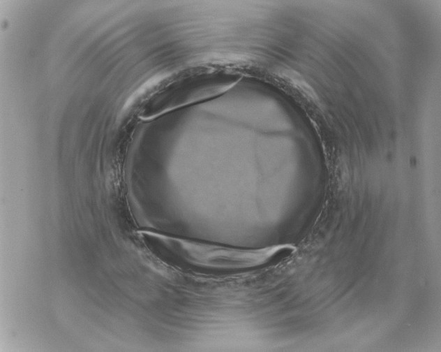 X0000070400920200607072240