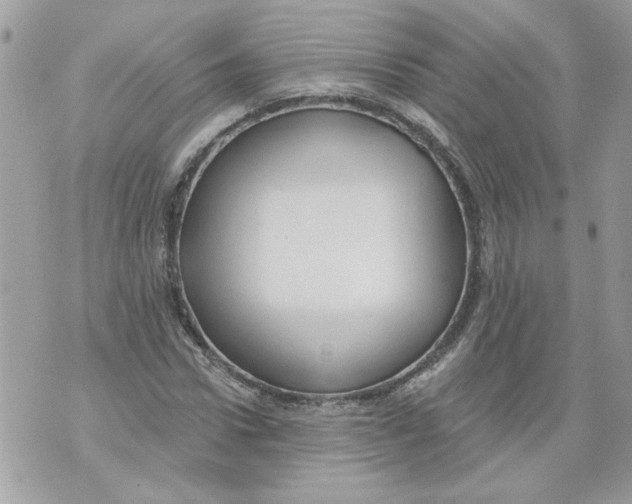 X0000070400922200607072240