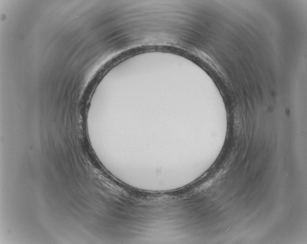 X0000070400926200607072240