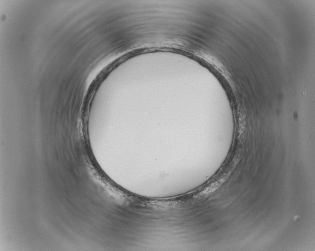 X0000070400928200607072240