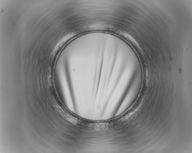 X0000070400930200607072240