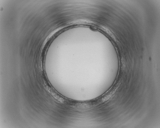 X0000070400931200607072240