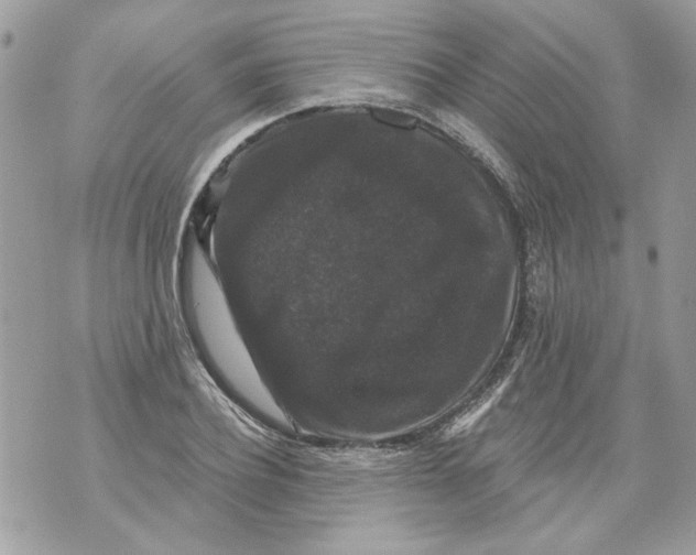 X0000070400932200607072240