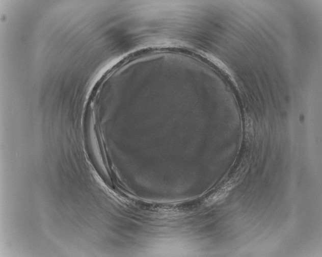 X0000070400935200607072240