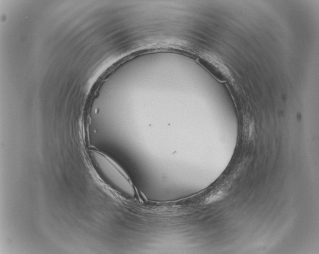 X0000070400936200607072240