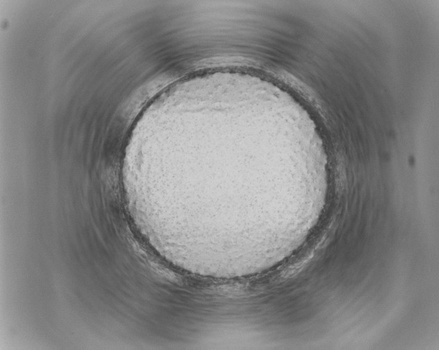 X0000070400937200607072240