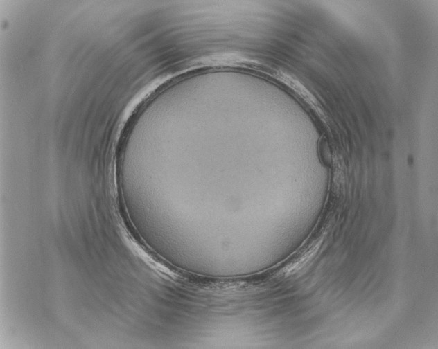 X0000070400939200607072240