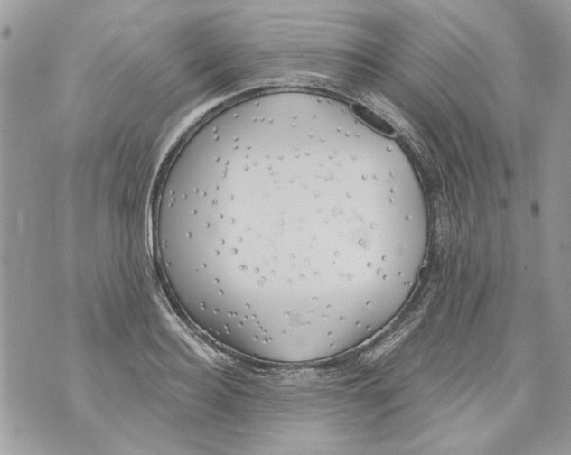 X0000070400940200607072240