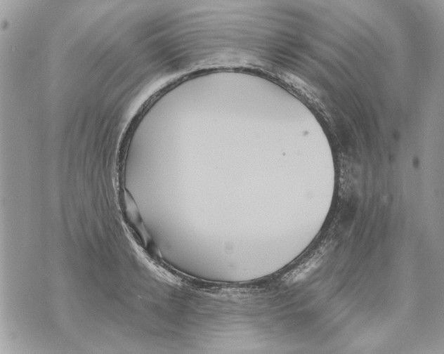 X0000070400942200607072241