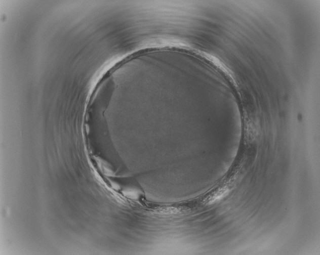 X0000070400943200607072241