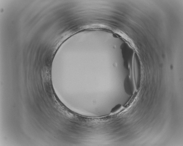 X0000070400945200607072241