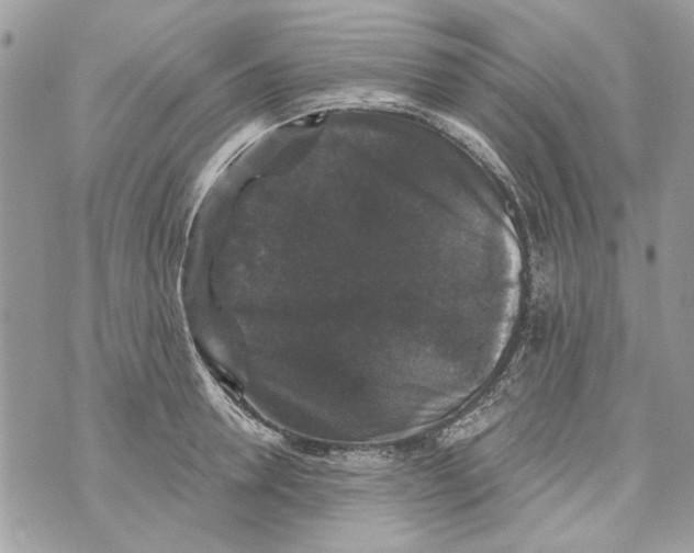 X0000070400946200607072241