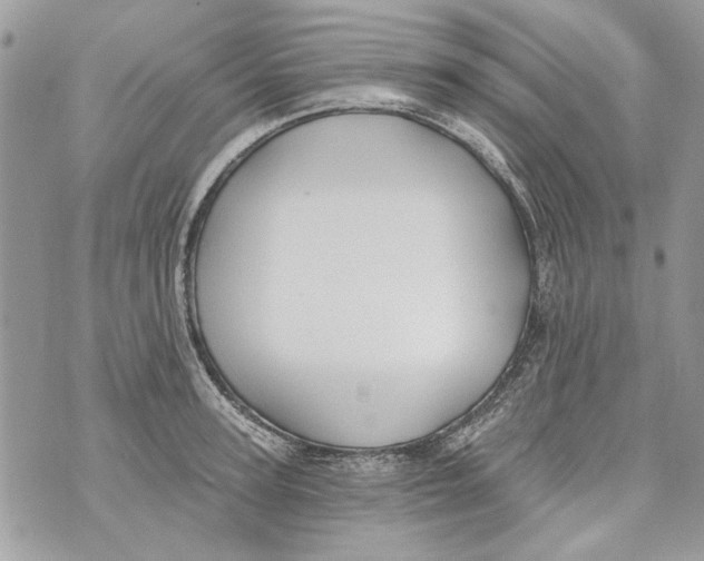 X0000070400947200607072241