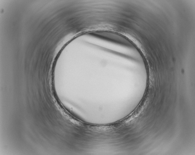 X0000070400949200607072241