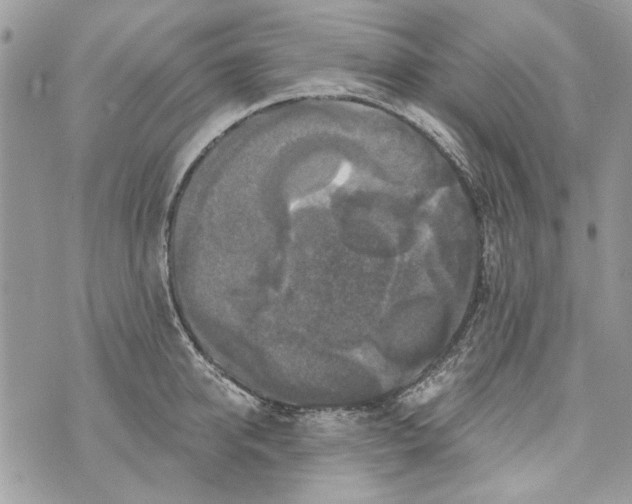 X0000070400950200607072241