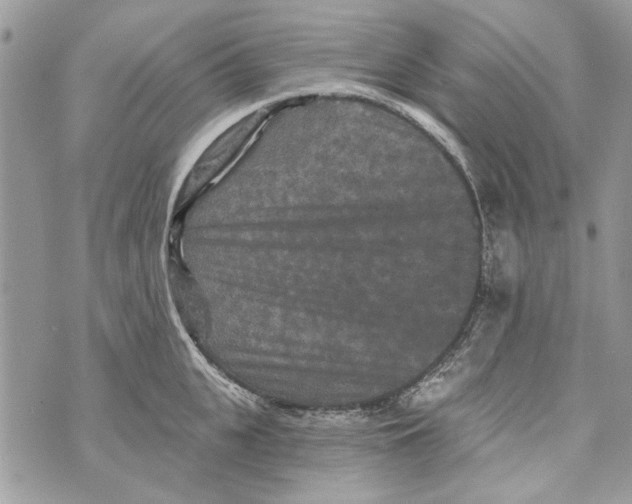 X0000070400951200607072241