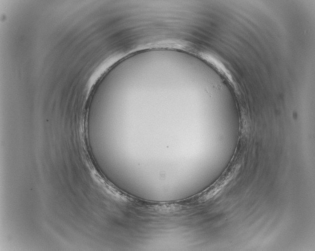 X0000070400952200607072241