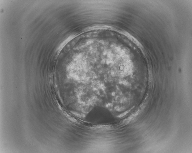 X0000070400953200607072241