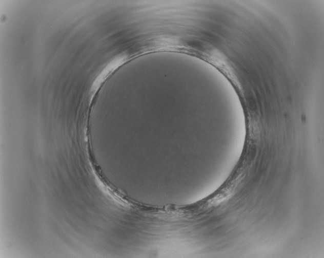 X0000070400954200607072241