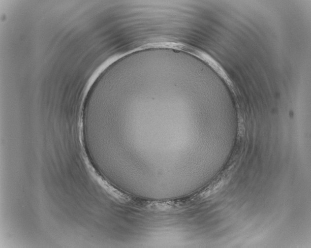 X0000070400955200607072241