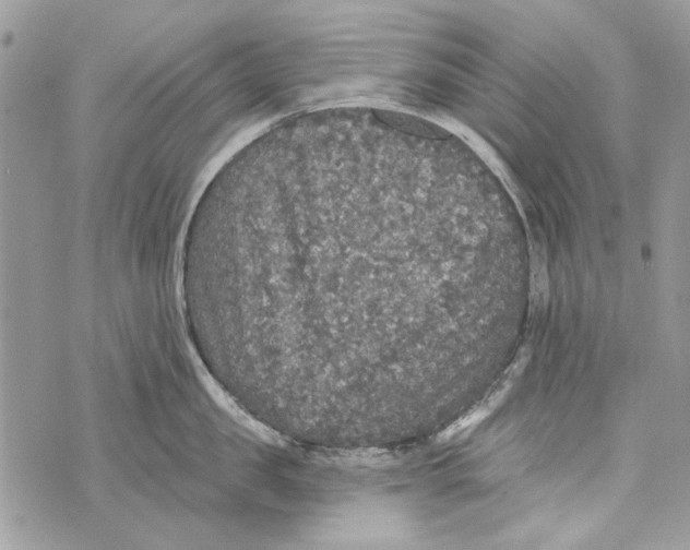 X0000070400957200607072241