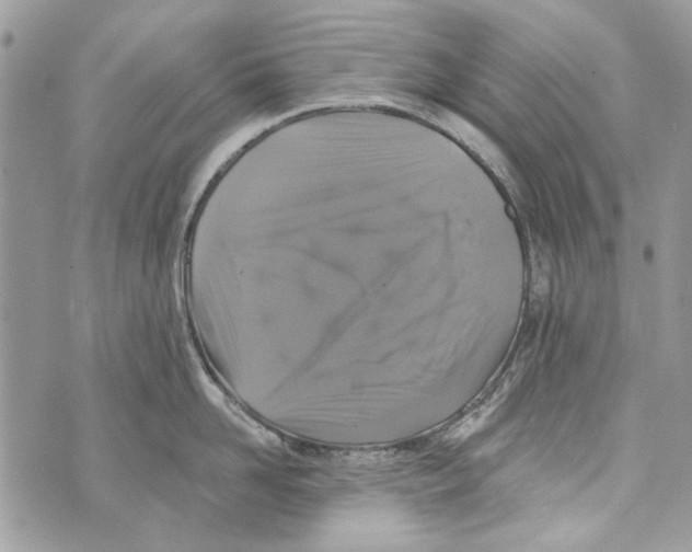 X0000070400958200607072241