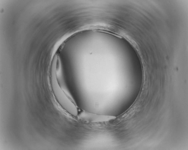 X0000070400960200607072241