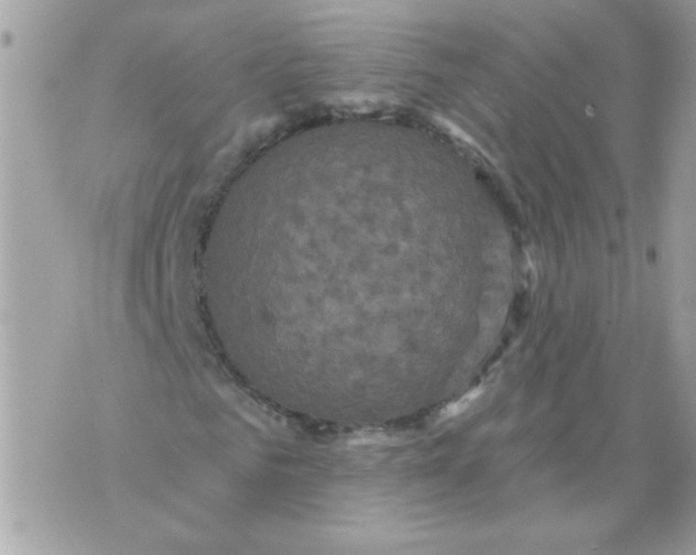 X0000070400961200607072240