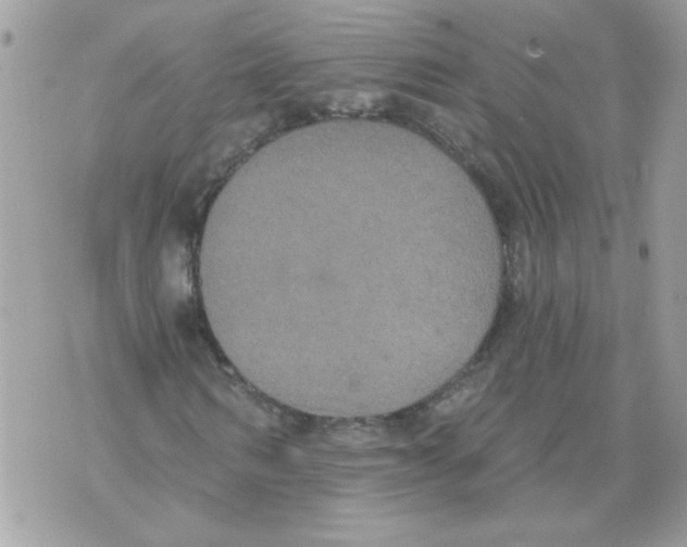 X0000070400962200607072240