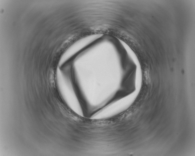 X0000070400963200607072240