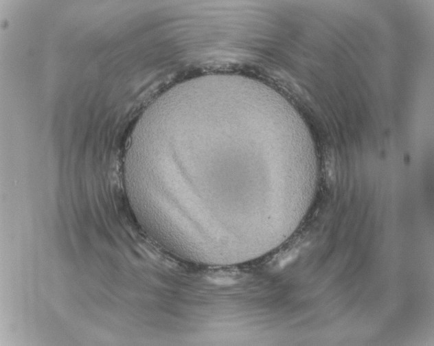 X0000070400964200607072240