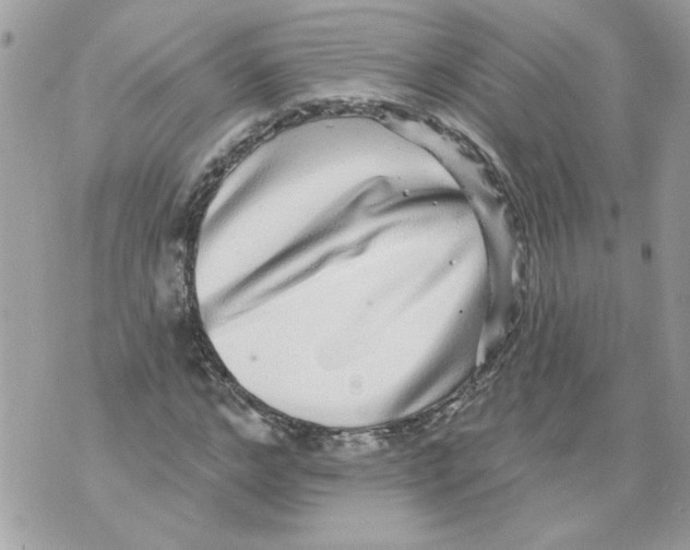 X0000070400968200607072240