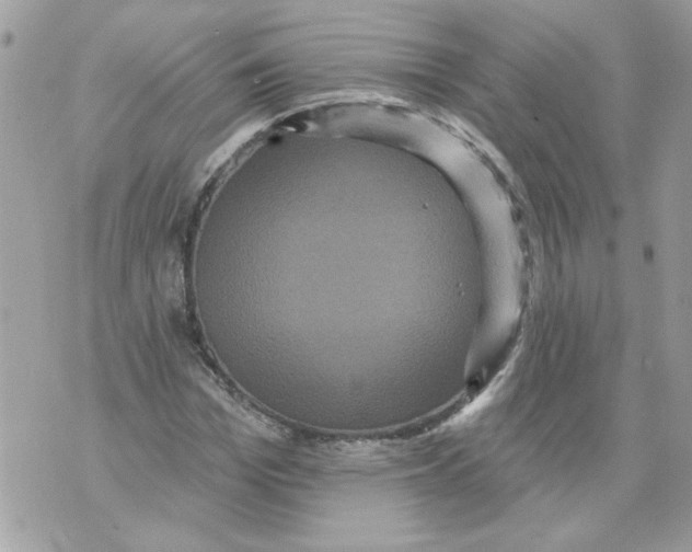 X0000070400969200607072240