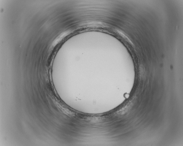 X0000070400970200607072240