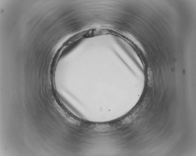 X0000070400972200607072240