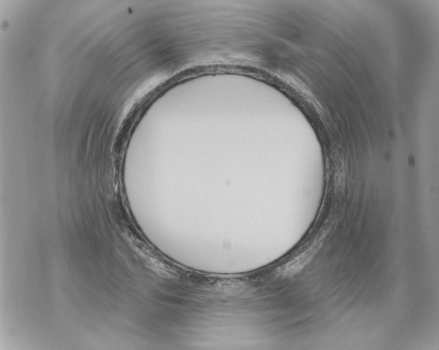 X0000070400974200607072240